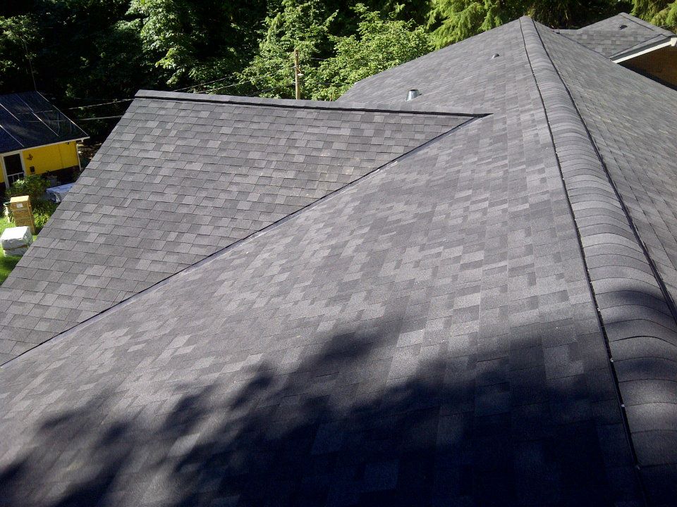 Freshly installed architectural shingle field in Coquitlam, BC by Roofking