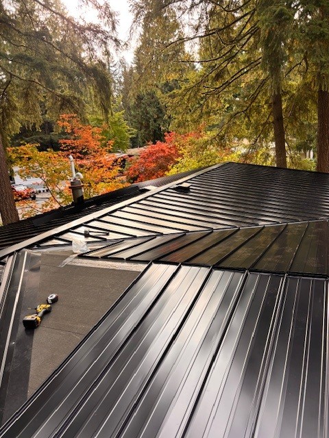 Black standing seam metal roof — autumn install in Langley, BC by Roofking
